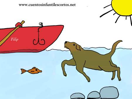 Short stories - Pluto the swimming dog