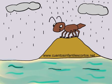 Short stories - Tip, the curious ant