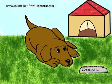 Textos Com Áudio #004 My neighbor's pets - Mairo Vergara
