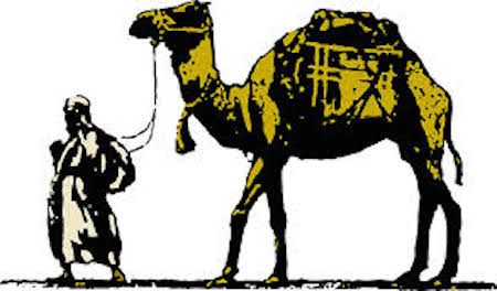 camel-